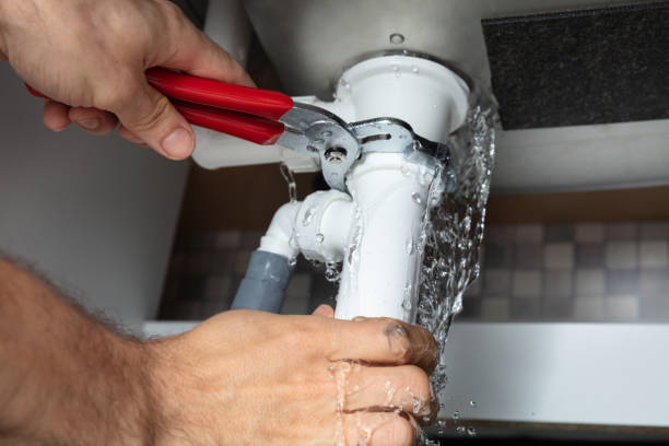 Best Water damage restoration insurance claims  in Oglesby, IL