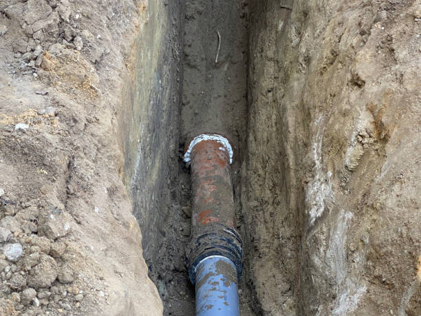 Best Flood restoration services  in Oglesby, IL