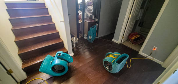 Best Water damage mitigation services  in Oglesby, IL