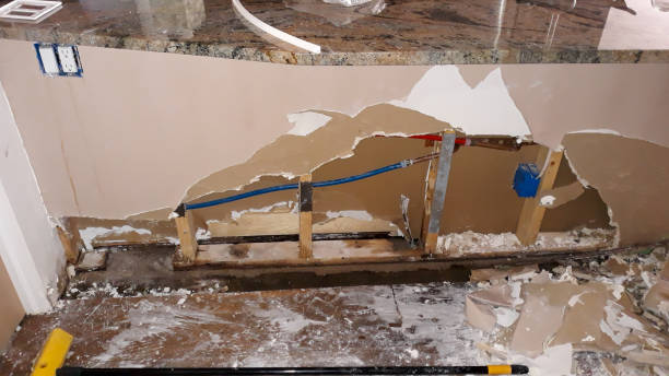 Best Water damage cleanup near me  in Oglesby, IL