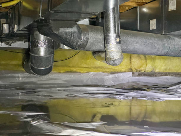 Best Water damage restoration process  in Oglesby, IL