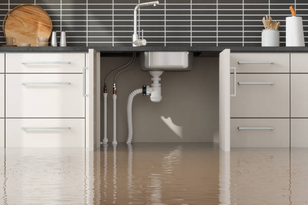  Oglesby, IL Water damage restoration Pros