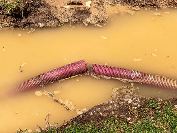 Best Emergency water extraction  in Oglesby, IL