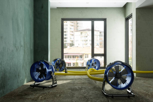 Best Water damage restoration company  in Oglesby, IL